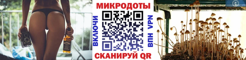 Купить где  Мамадыш  Галлюциногенные грибы прущие грибы 